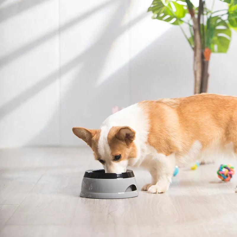 No-Spill Pet Water Bowl