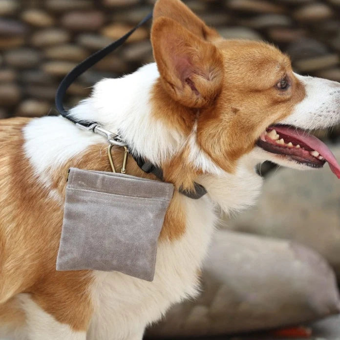 Canvas Pet Treat Pouch