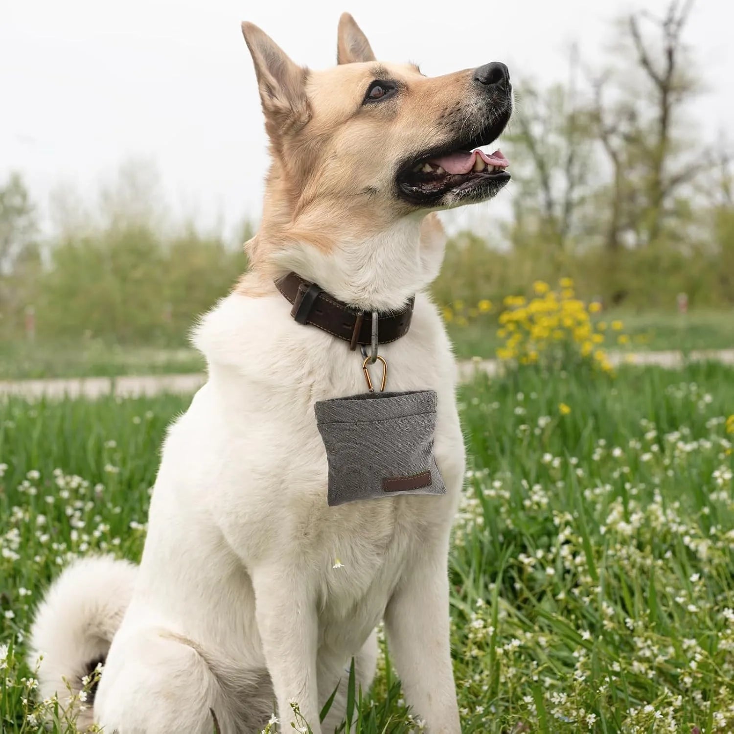 Canvas Pet Treat Pouch