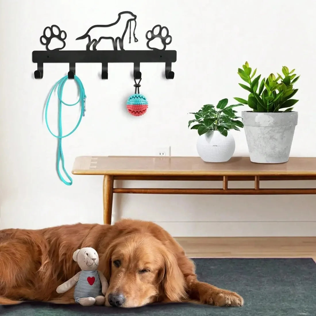 Paw & Leash Wall Rack